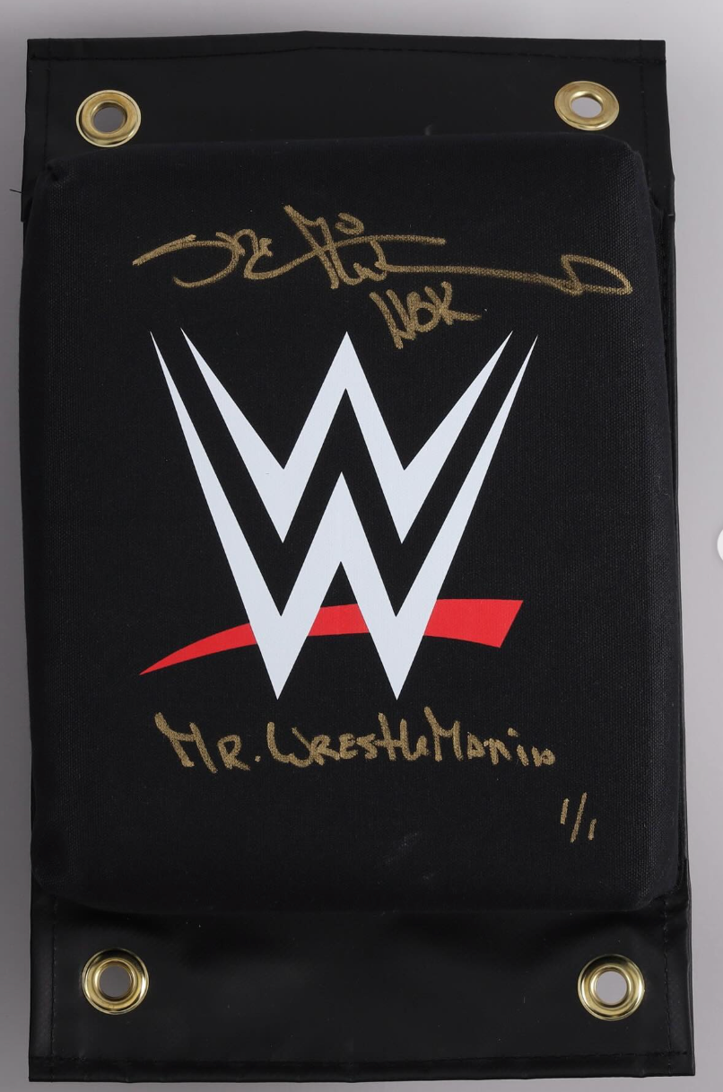 2026 Under Wraps WWE TURNBUCKLE PADS Hobby Box